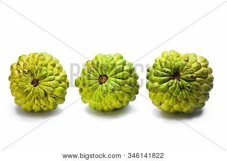 Sugar Apple Or Custard Apple Isolated On White Background