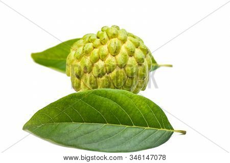 Sugar Apple Or Custard Apple With Green Leaf Isolated On White Background