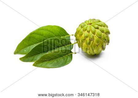 Sugar Apple Or Custard Apple With Green Leaf Isolated On White Background