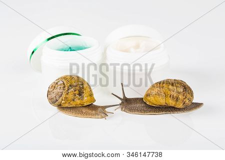 Cosmetics Organic Made With Slaver Of Snail, Very Good For Skin And Health And Fashion In Europe. Po