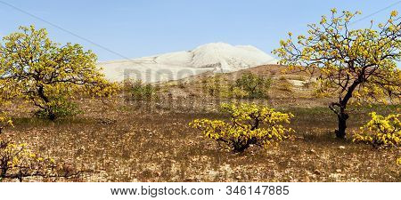 Cerro Blanco Sand Dune, One Of The Highest Dunes On The World, Located Near Nasca Or Nazca Town In P