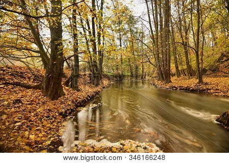 Autumn Colors In A Slowly Flowing Creek