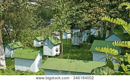 Apiary In The Garden Of The Korets Monastery