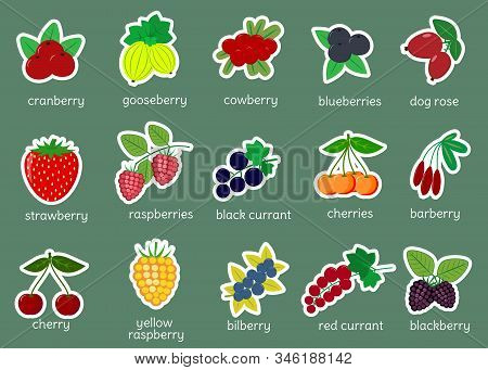 Sticker Collection Set Of Ripe Berries, Icon Of Fifteen Elements In A White Stroke On A Green Backgr