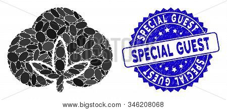 Collage Cotton Icon And Corroded Stamp Seal With Special Guest Text. Mosaic Vector Is Composed With 