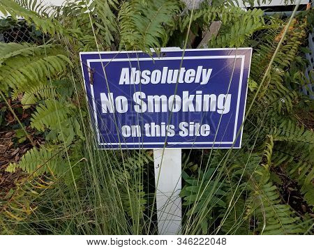 Blue Absolutely No Smoking On This Site Sign And Plant