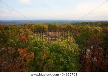 floresta de Ozarks em queda