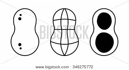 Peanuts Black And White Icons. Isolated Vector Illustration