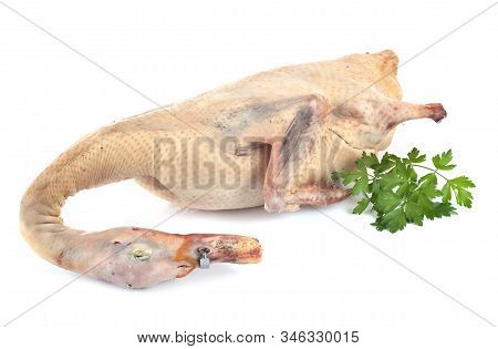 Duck Meat In Front Of White Background