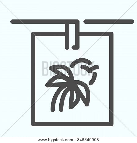 Hanging Photo Line Icon. Clipping Photo Vector Illustration Isolated On White. Photo Of Flower Outli