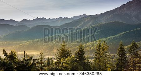 View From Koscielisko, Poland Over To Tatra Mountains And Green Pine Forest Hills