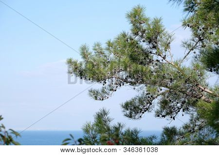 Beautiful Scenic Landscape With Calm Mediterranean Sea And Buildings Of Antalya City On Skyline, Vie