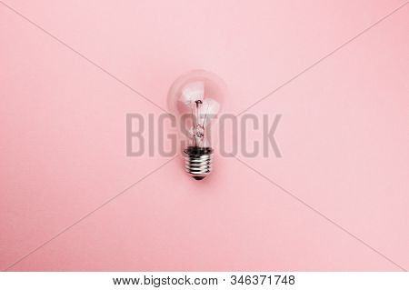 Glass Transparent Lightbulb Flat Lay On Colorful Pink Background. Top View Copy Space. Creative Fash
