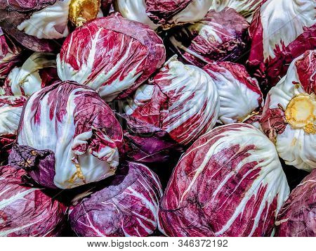 Healthy Purple Violet Cabbage Heads As Organic Vegetable In A Grocery Store Market For Sale As A Par