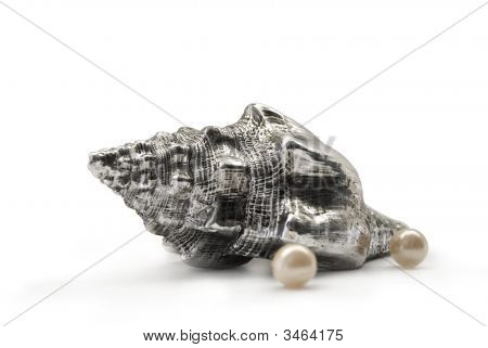 Silver Shell