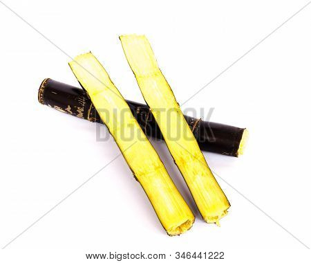 Studio Shot Organic Sugarcane Stalk With Two Half Cuts Isolated On White