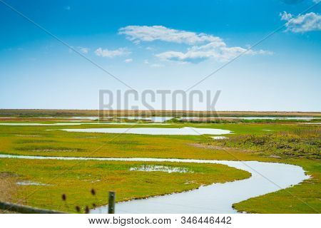 Stream Wandering Through Green Wetlands Of Rye Harbour Nature Reserve