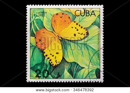 Novosibirsk, Russia - January 07, 2020: Stamp Nature Collection Printed In  Cuba  Shows Orange Phoeb