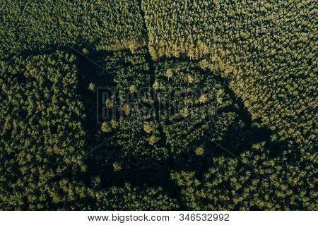 Drone Photo Of The Forest Of Grunheide, Berlin-brandenburg, Tesla Giga Factory