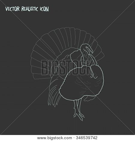 Turkey Icon Line Element. Vector Illustration Of Turkey Icon Line Isolated On Clean Background For Y