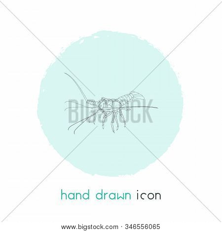 Spiny Lobster Icon Line Element. Illustration Of Spiny Lobster Icon Line Isolated On Clean Backgroun