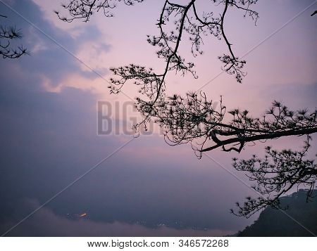 Silhouette Tree With Sunrise In The Morning On Top Of  Phu Kradueng Mountain National Park In Loei C