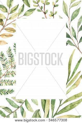Hand Drawn Watercolor Illustration. Botanical Frame With Eucalyptus, Branches, Fern And Leaves. Gree