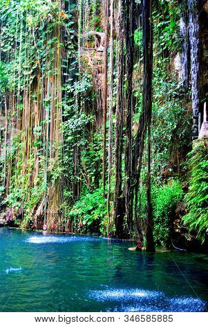 Ik Kil Is An Open-air Cenote, Very Deep, That Can Be Seen From Above, Full Of Vegetation That Makes 
