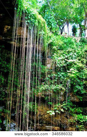 Ik Kil Is An Open-air Cenote, Very Deep, That Can Be Seen From Above, Full Of Vegetation That Makes 