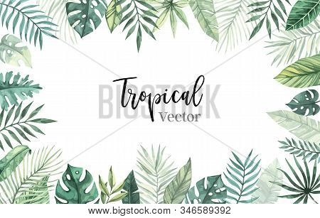 Watercolor Vector Illustration. Summer Tropical Frame With Banana Leaves, Monstera And Palm Leaves. 