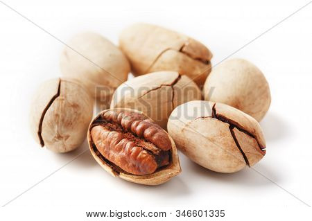 Pecan Isolated On White Background. Close-up, Macro. A Nut In A Shell.