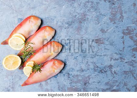 Beautiful Tropical Red Sea Fish Pearly Razorfish On A Blue Background. Galan Fish Xyrichtys Novacula