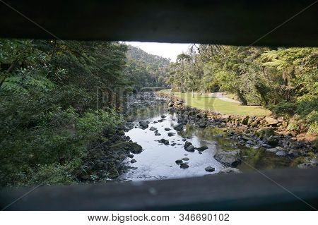 Morning Walk To Mair Park Whangarei New Zealand