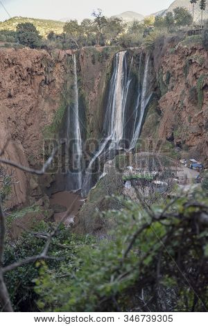 Macaque Monkeys Near Ouzoud Watterfall