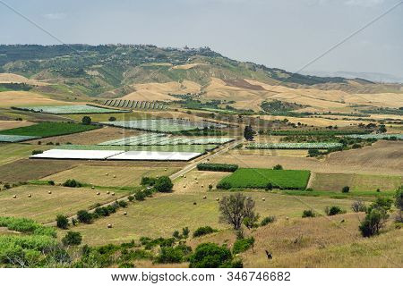 Rural Landscape Near Ginosa Di Puglia, Taranto, Apulia, Italy, At Summer.