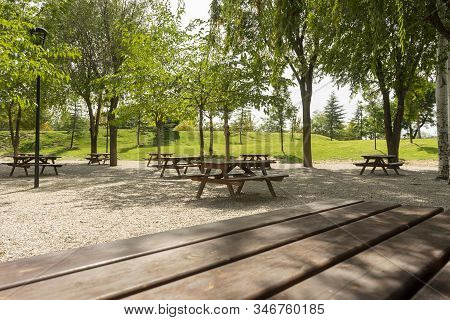 Wooden Table Of Free Space In Garden And Spring Time