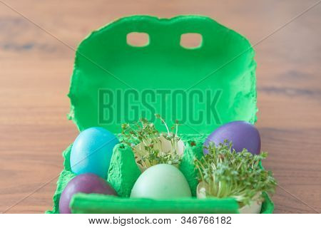 Decorative Handmade Easter Egg Present Box With Eggs And Cress. Beautiful Decoration Easternest Bask