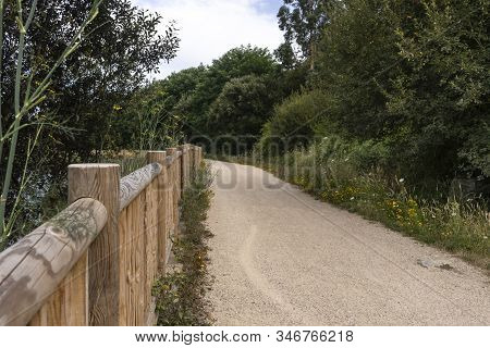 Dirt Road For Running In The Forest Outdoors