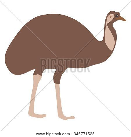 Cute Emu In Flat Style. Flat. Vector