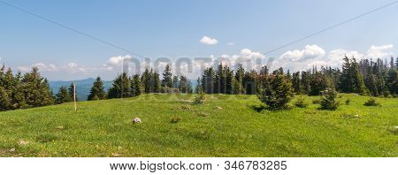 Tlsta Hill Summit In Velka Fatra Mountains In Slovakia Covered By Meadow With Trees During Beautiful