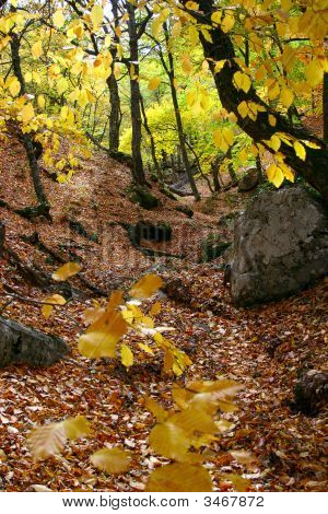 Demerdzhi