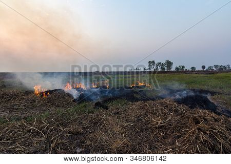 Picture Of A Rice Field In A Rural Area Where Villagers Are Burning Stumps Of Rice. With The Backdro