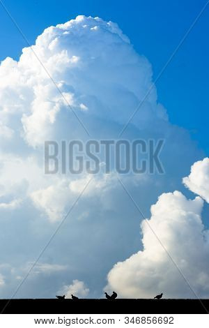 Cloud Blue Sky Landscape