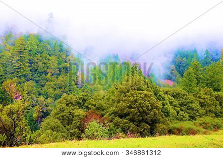 Fog And Low Clouds Surrounding Lush Forested Mountains, Taken In Rural Coastal Northern California