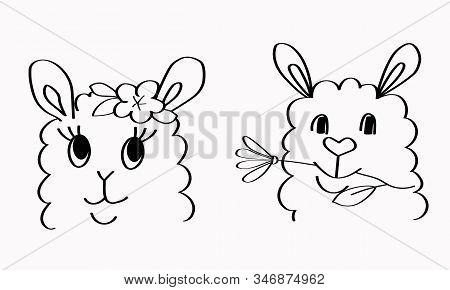 Couple Of Cute Llamas Boy And Girl With Flowers. Hand Drawn Pair Of Lovers. Cartoon Sketch Style. Co