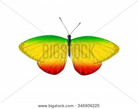 Butterfly Isolated On A White Background. With Wings Of Yellow, Green, Red. Rasta Color.