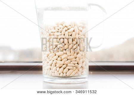 Cannellini Beans Close Up In A Jar