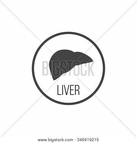 Liver Icon Vector. Stock Vector Illustration Isolated On White Background.