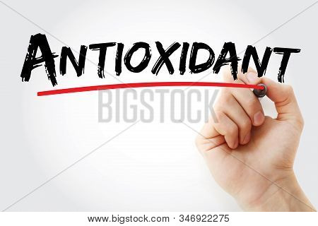 Antioxidant - Text With Marker, Medical Concept Background