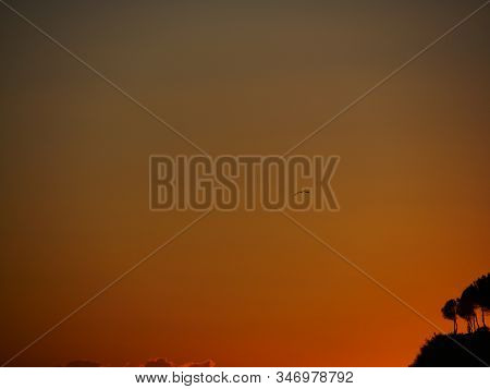 A Bird Flying Over A Beach That Looks Like An African Sabana.
